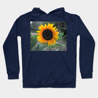 Sunny Sunflower Hoodie